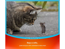 ���� � ����.jpg