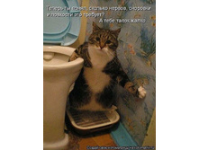 ������ �� �����.jpg