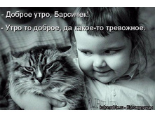 ���� ���������.jpg