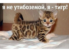 � ����.jpg