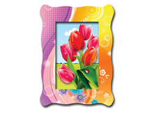 0211-a ��������