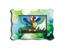 0213-a �������