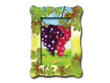 0216-a ��������