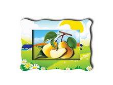 0218-a �����