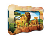 0223-a ������� �������