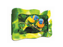 0224-a �������� �����������