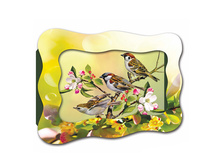 0227-a ������� �� �����