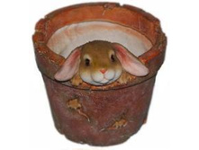 HP091232_����� ������ � ��������