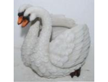 P101051_����� ��� ������