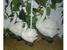 W07034_������� ������.JPG