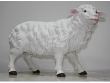 �-001_������� ������.JPG