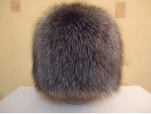 ���� ����**���� (�������)