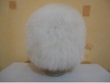 ���� ��**��� ����� 