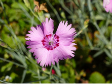 04.09.2013 19:09:51��������