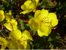 04.09.2013 19:10:59�������