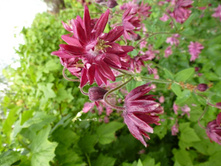 04.09.2013 19:13:12 ��������� ������������(���������) ���� ����