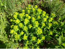 04.09.2013 19:14:32�������