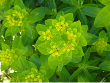 04.09.2013 19:14:49�������