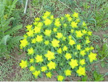 04.09.2013 19:15:05 ������� �������������� 50�