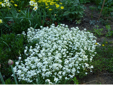 04.09.2013 19:24:25 ������