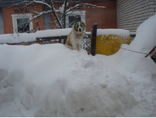 DSC06873.JPG ����