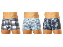 ������� ������� MSHL-312,   297���