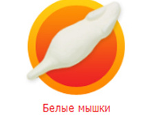 ����� �����.jpg