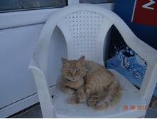 ���� 2013 890.jpg