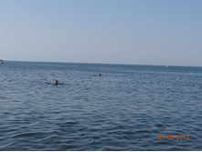 ���� 2013 908.jpg