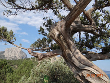 ���� 2013 865.jpg