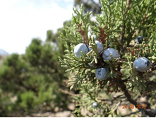 ���� 2013 717.jpg