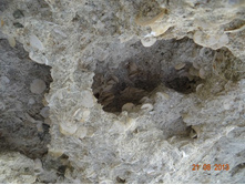 ���� 2013 425.jpg