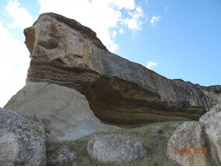 ���� 2013 443.jpg