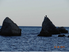 ���� 2013 340.jpg