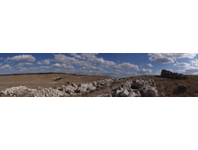 ���� 2013 385.jpg