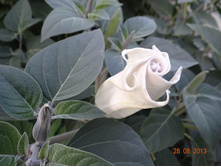 ���� 2013 1147.jpg