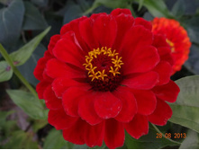 ���� 2013 1148.jpg