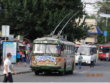 ���� 2013 1048.jpg