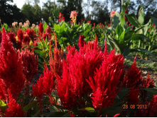 ���� 2013 1076.jpg