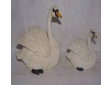 W07034_������� ������