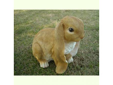 MG22977_�������  ������