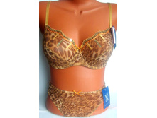 890 �., �������� ���������� �� ��������� + ������� (�����)