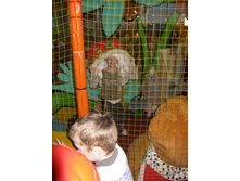 ����������� 026.jpg