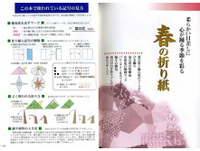 Seibido_Shuppan_Sha_Jitsuyou_Origami (5).jpg