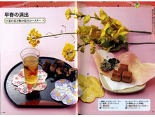 Seibido_Shuppan_Sha_Jitsuyou_Origami (6).jpg