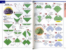Seibido_Shuppan_Sha_Jitsuyou_Origami (10).jpg