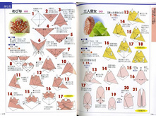 Seibido_Shuppan_Sha_Jitsuyou_Origami (11).jpg