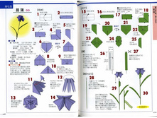 Seibido_Shuppan_Sha_Jitsuyou_Origami (22).jpg