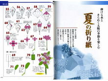 Seibido_Shuppan_Sha_Jitsuyou_Origami (29).jpg