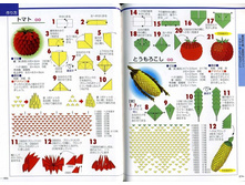 Seibido_Shuppan_Sha_Jitsuyou_Origami (45).jpg